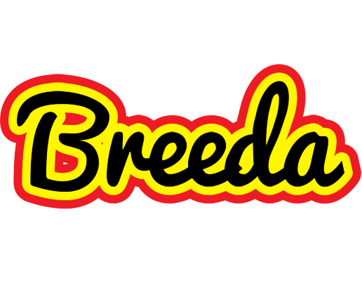 Breeda flaming logo