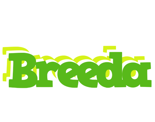 Breeda picnic logo