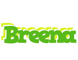 Breena picnic logo