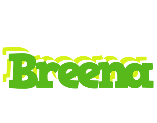 Breena picnic logo