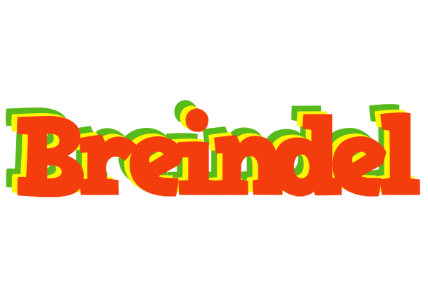 Breindel bbq logo