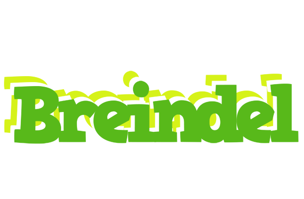 Breindel picnic logo