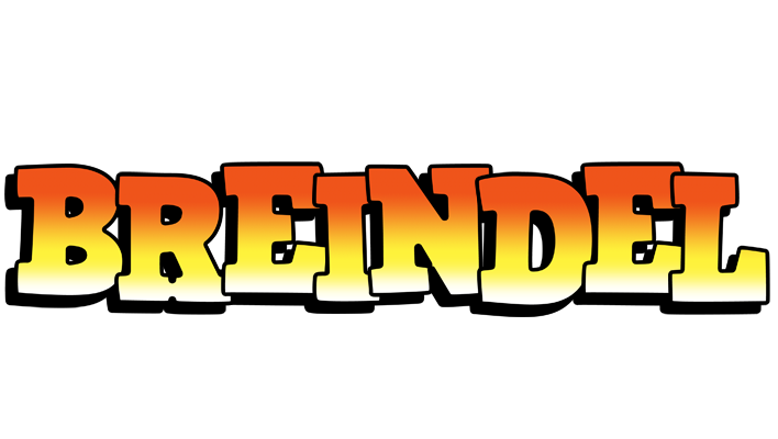 Breindel sunset logo