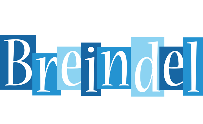 Breindel winter logo