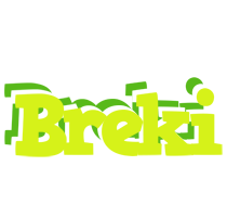 Breki citrus logo