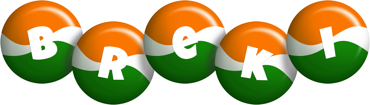 Breki india logo