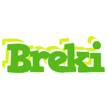 Breki picnic logo