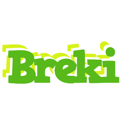 Breki picnic logo