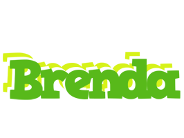 Brenda picnic logo