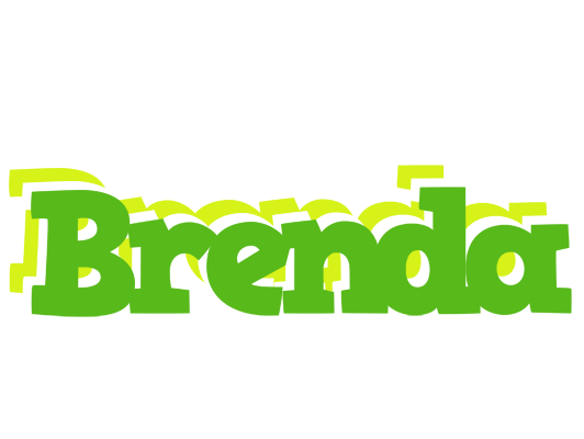 Brenda picnic logo