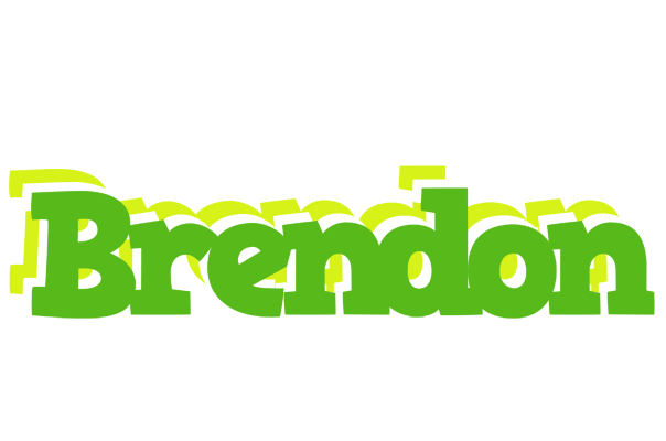 Brendon picnic logo