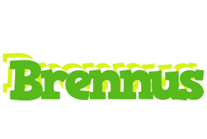 Brennus picnic logo