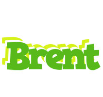 Brent picnic logo