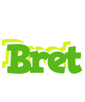 Bret picnic logo