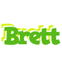 Brett picnic logo