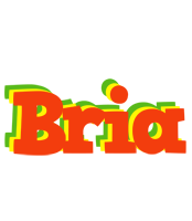 Bria bbq logo