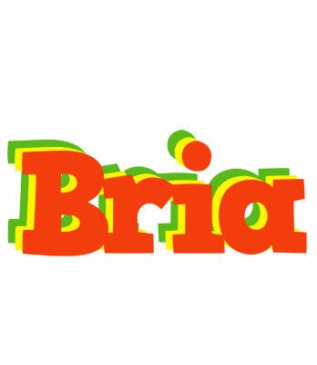 Bria bbq logo