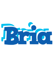 Bria business logo