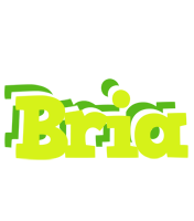 Bria citrus logo