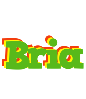 Bria crocodile logo