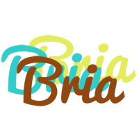 Bria cupcake logo