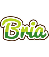 Bria golfing logo