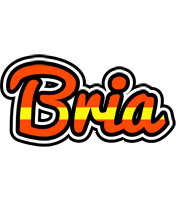 Bria madrid logo