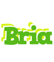 Bria picnic logo