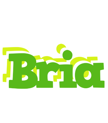 Bria picnic logo