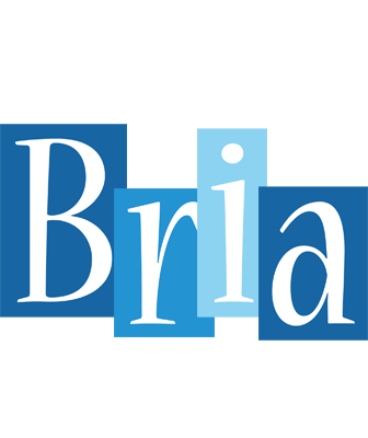 Bria winter logo