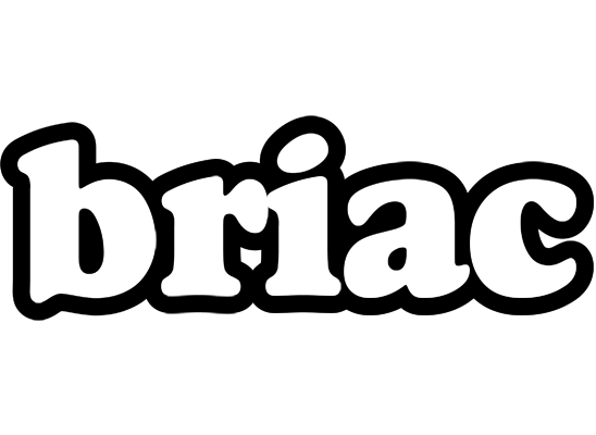 Briac panda logo