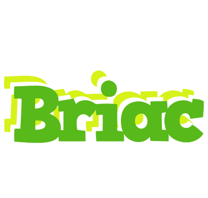 Briac picnic logo