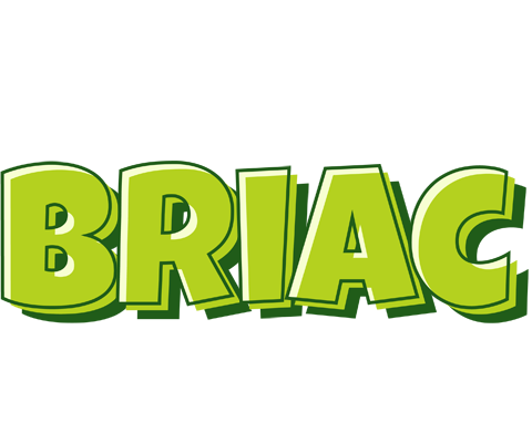 Briac summer logo