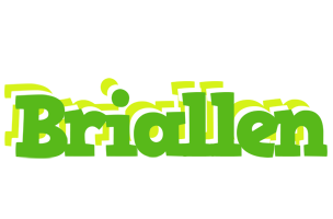 Briallen picnic logo