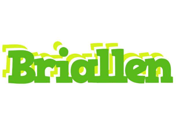 Briallen picnic logo
