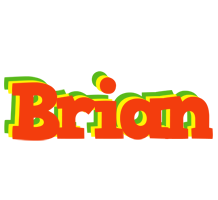 Brian bbq logo