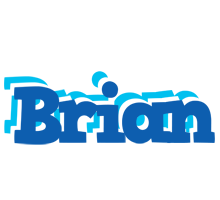 Brian business logo