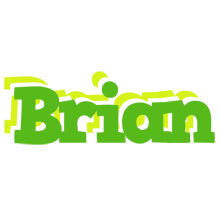 Brian picnic logo
