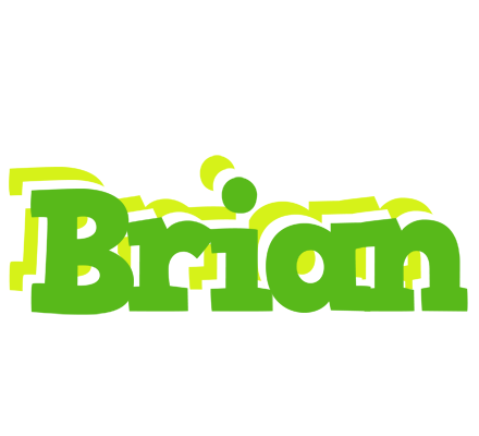 Brian picnic logo