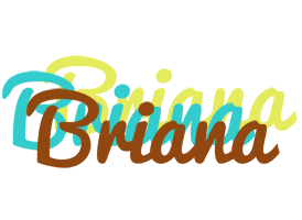 Briana cupcake logo