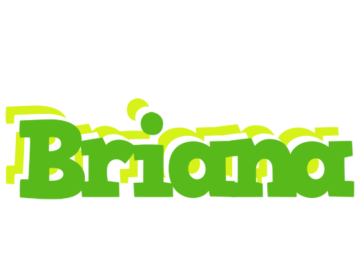 Briana picnic logo