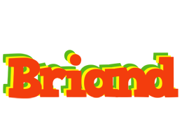 Briand bbq logo