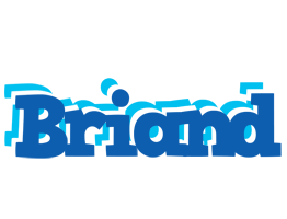 Briand business logo