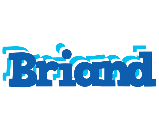 Briand business logo