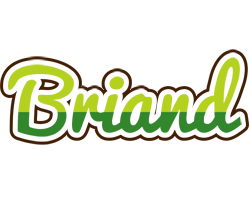 Briand golfing logo