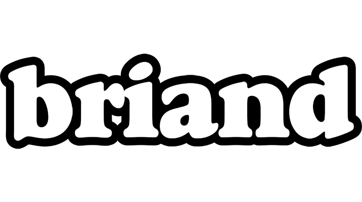 Briand panda logo