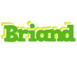 Briand picnic logo