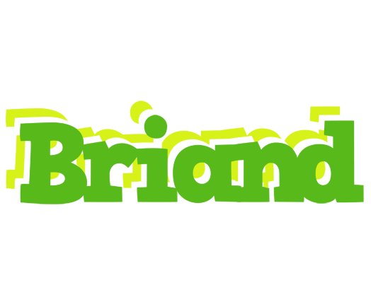 Briand picnic logo