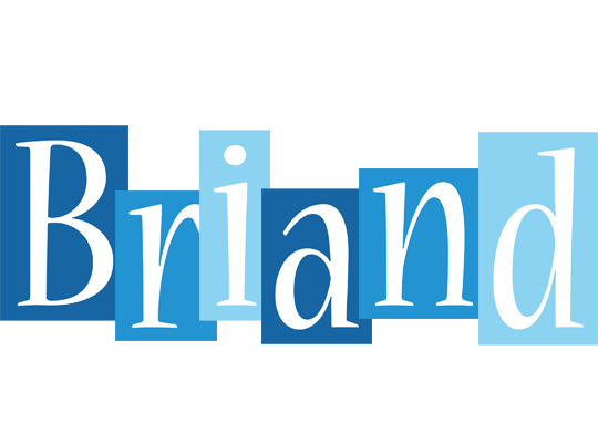 Briand winter logo