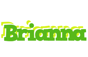 Brianna picnic logo